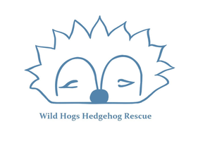 Wild Hogs Hedgehog Rescue
