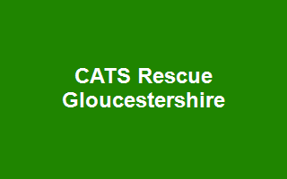 CATS Rescue Gloucestershire