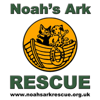Noah's Ark Rescue